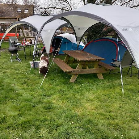 Hotel Basic 2P Tent Sotterum Kornwerd Zewnętrze zdjęcie